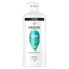 Pantene Pro-V Smooth and Sleek Shampoo;  27.7 oz - Pantene