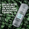 Dove Men+Care Body Wash and Face Wash Blue Eucalyptus + Birch 18 oz - Dove