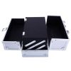 Aluminum Makeup Train Case Jewelry Box Cosmetic Organizer with Mirror 9"x6"x6" RT - Silver